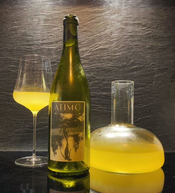 Malvasia  2019