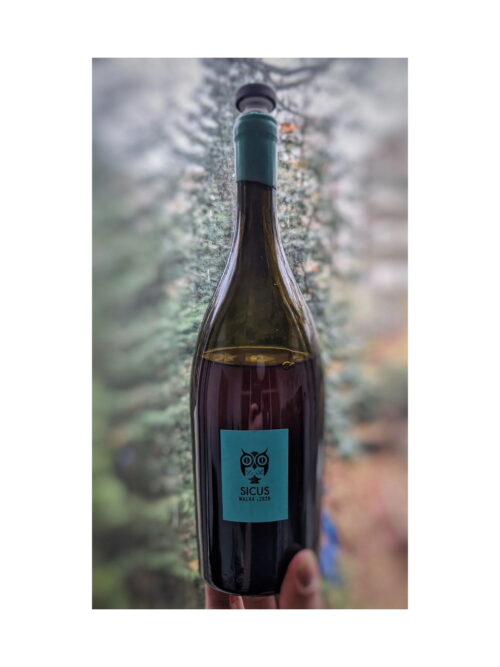 Malvasia  2020Product image