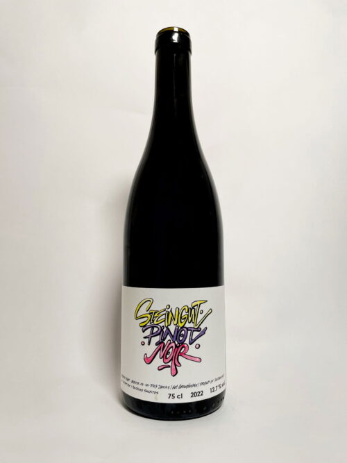 Steingut Pinot Noir 2022Product image