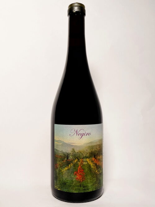 Negiro 2023Product image