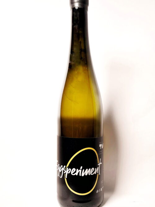Eggsperiment 2023Product image