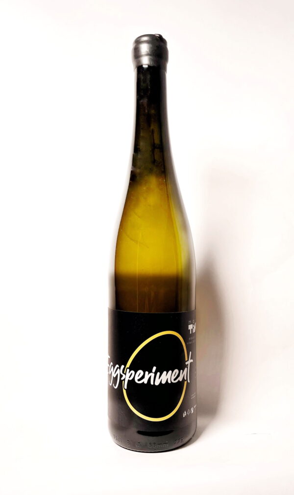 Eggsperiment 2023Eggsperiment 2023