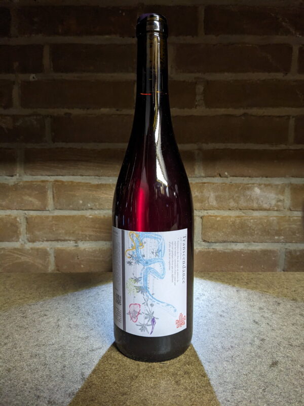 TranscendanceTranscendance