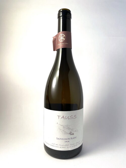 Sauvignon Blanc Opok 2023Product image