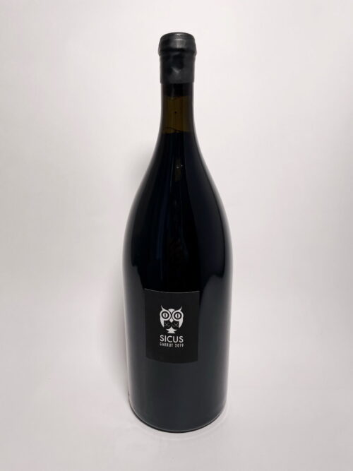 Garrut 2019Product image