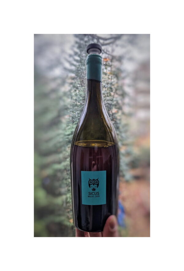 Malvasia  2020Malvasia  2020