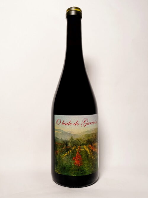 O baile de Gurrión 2023Product image