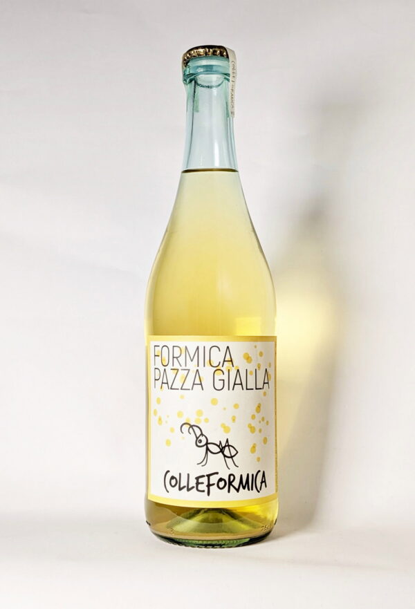 Pazza Gialla  2024Pazza Gialla  2024