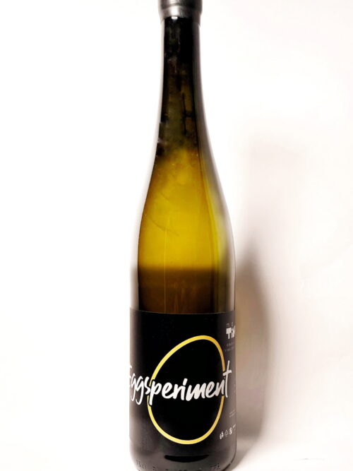 Eggsperiment 2023Product image