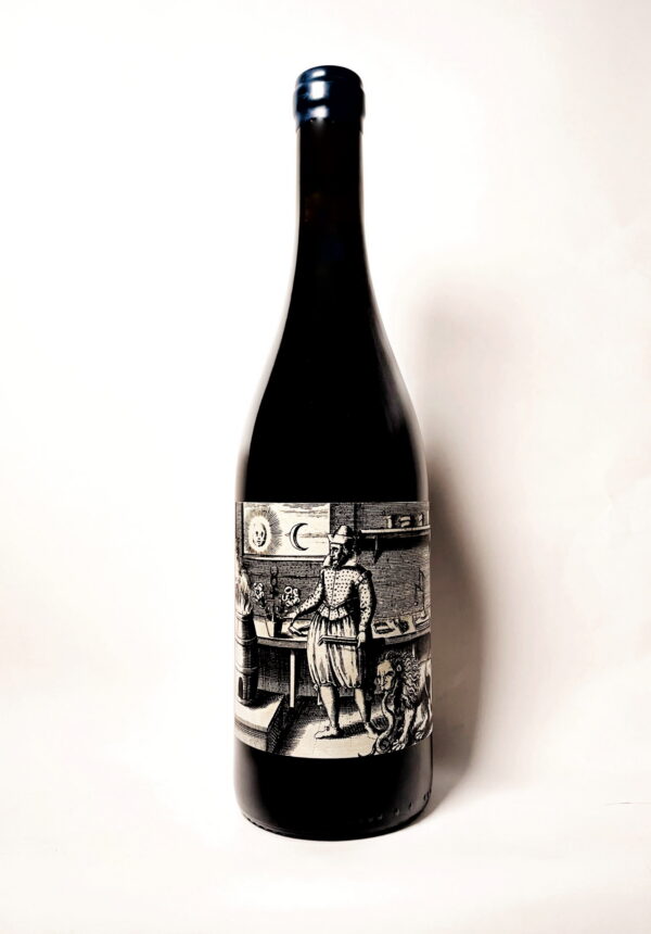 Yseult Mon Amour / Vincent’s Wines 2023Yseult Mon Amour / Vincent’s Wines 2023