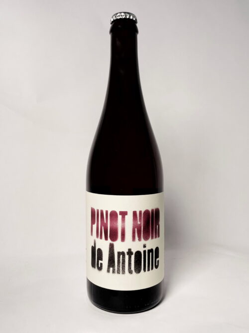 Pinot Noir from AntoineProduct image