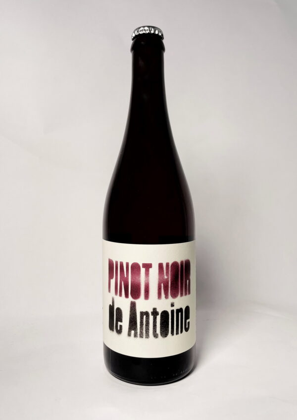 Pinot Noir from AntoinePinot Noir from Antoine
