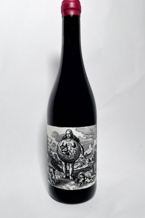 Grenache Noir Prima Materia 2022Grenache Noir Prima Materia 2022