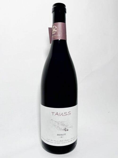 Merlot H 2020Product image