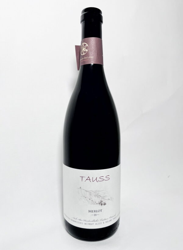 Merlot H 2020Merlot H 2020